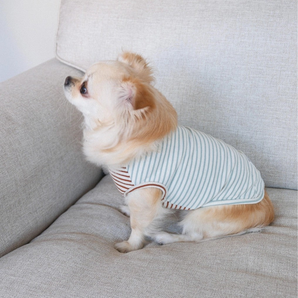 【予約】Half Stripe Tee