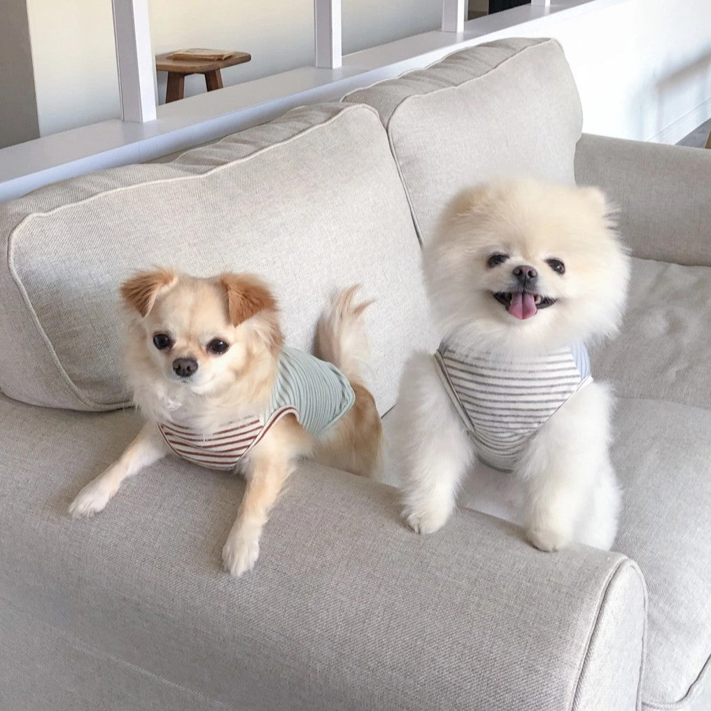 【予約】Half Stripe Tee