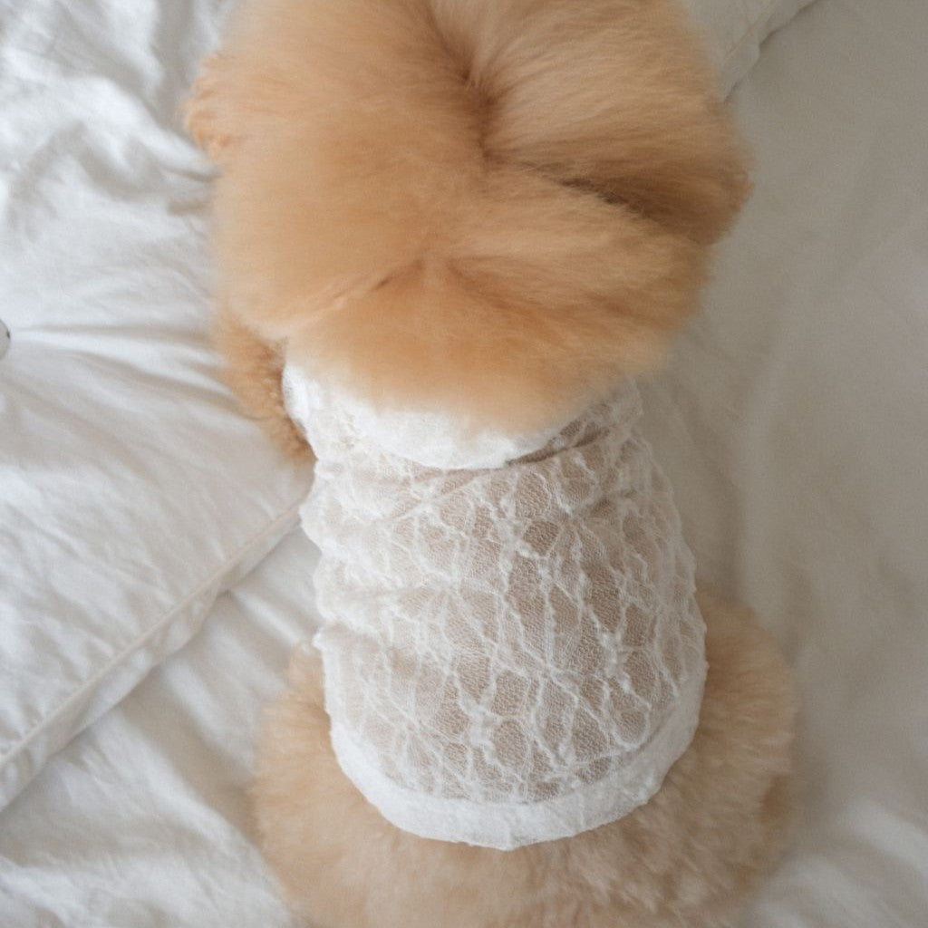 【予約】Lace Hooded Top