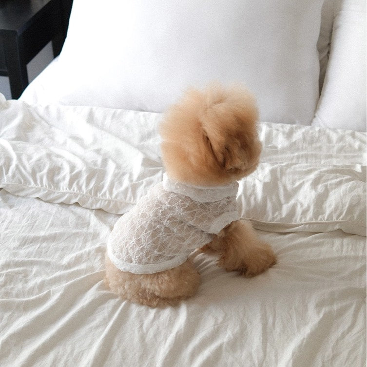 【予約】Lace Hooded Top