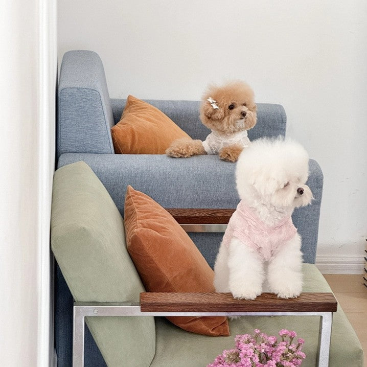 【予約】Lace Hooded Top