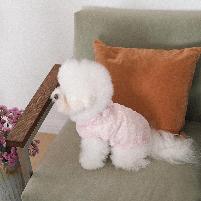 【予約】Lace Hooded Top