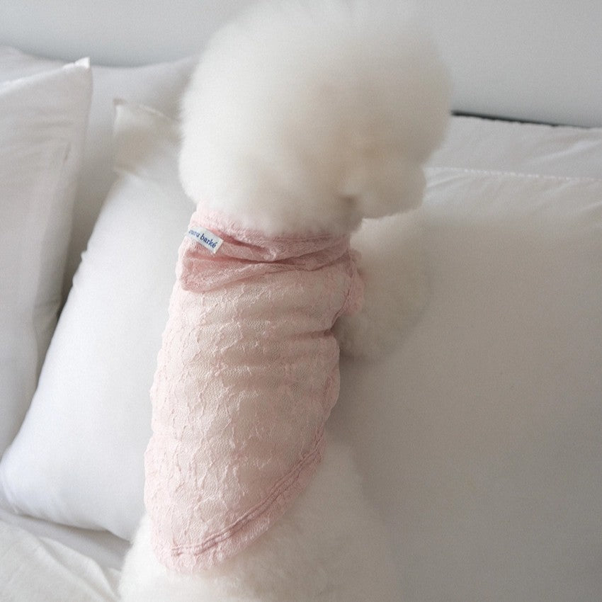 【予約】Lace Hooded Top