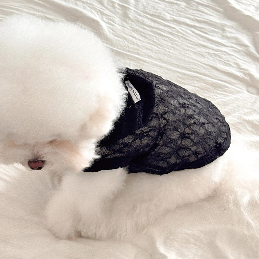 【予約】Lace Hooded Top