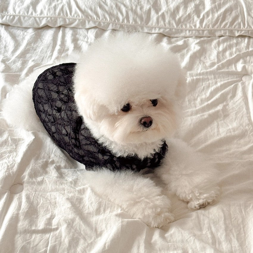 【予約】Lace Hooded Top