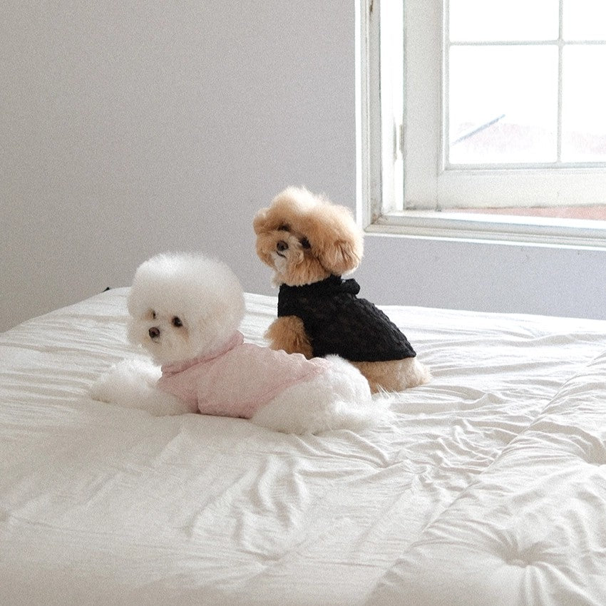 【予約】Lace Hooded Top