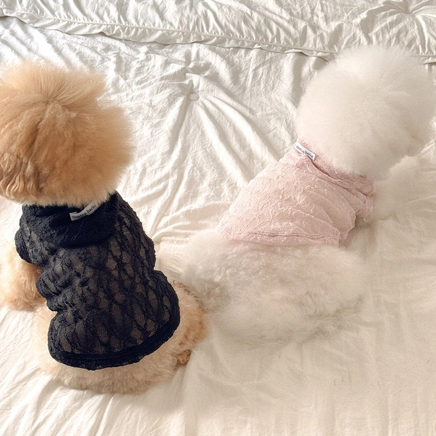 【予約】Lace Hooded Top