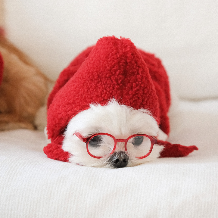 【予約】moment fur bonnet