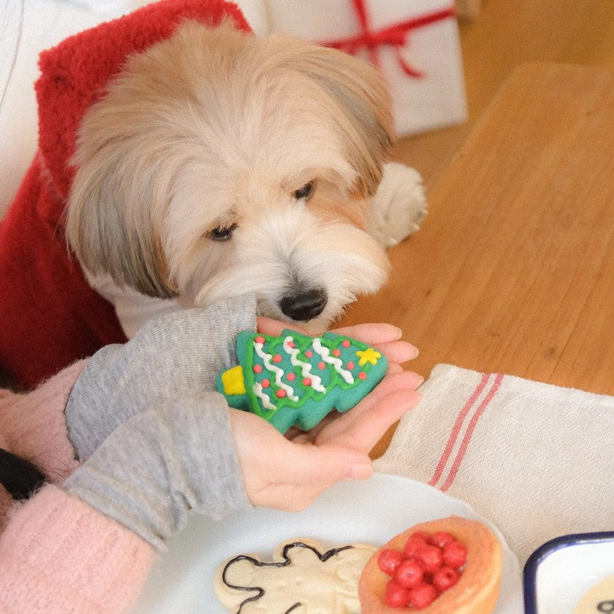 【予約】moment fur strap top