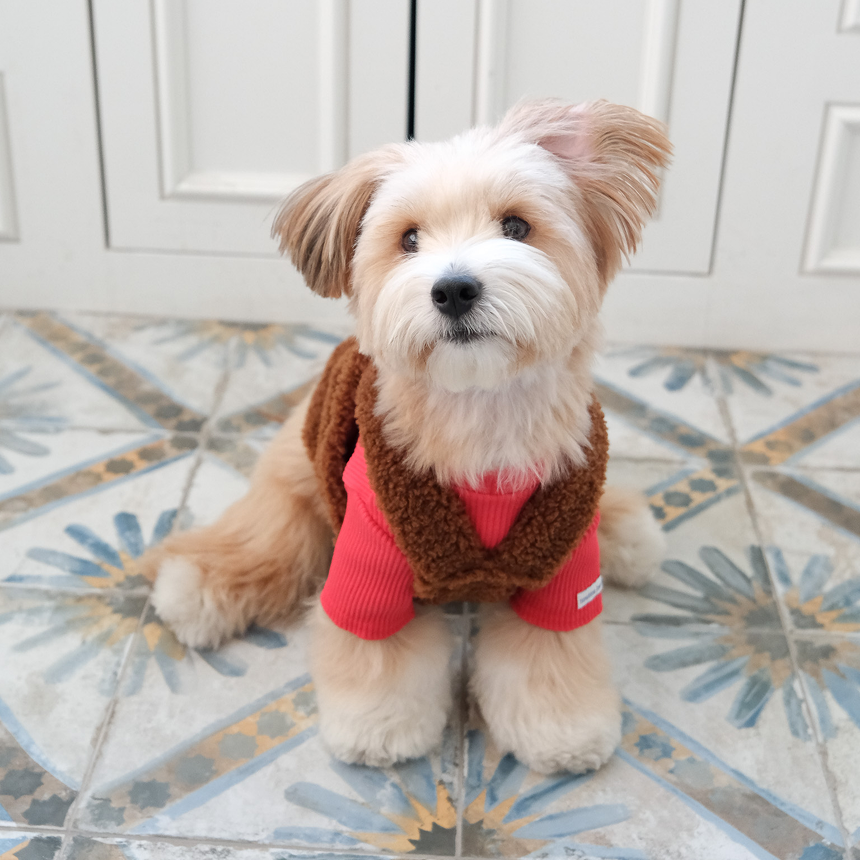 【予約】moment fur strap top