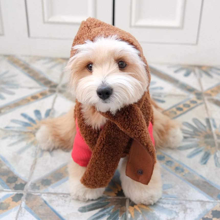 【予約】moment fur strap top