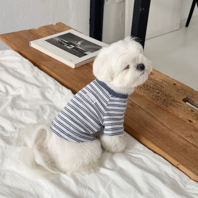 【予約】ノートストライプTシャツ