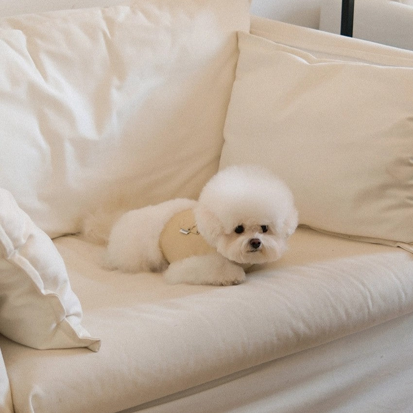 【予約】Pocket Harness