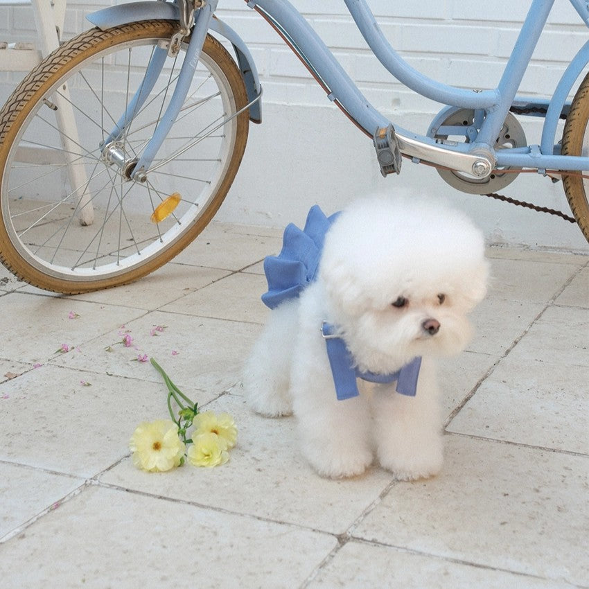 【予約】Pocket Suspender Dress