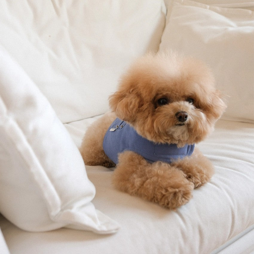 【予約】Pocket Harness