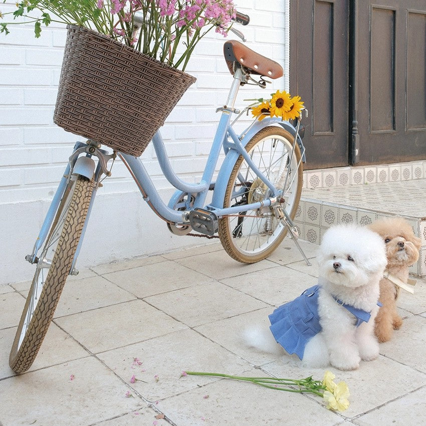 【予約】Pocket Suspender Dress