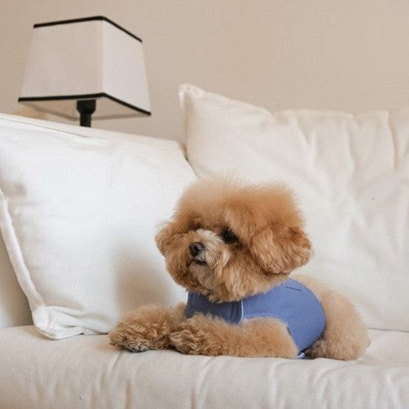 【予約】Pocket Harness