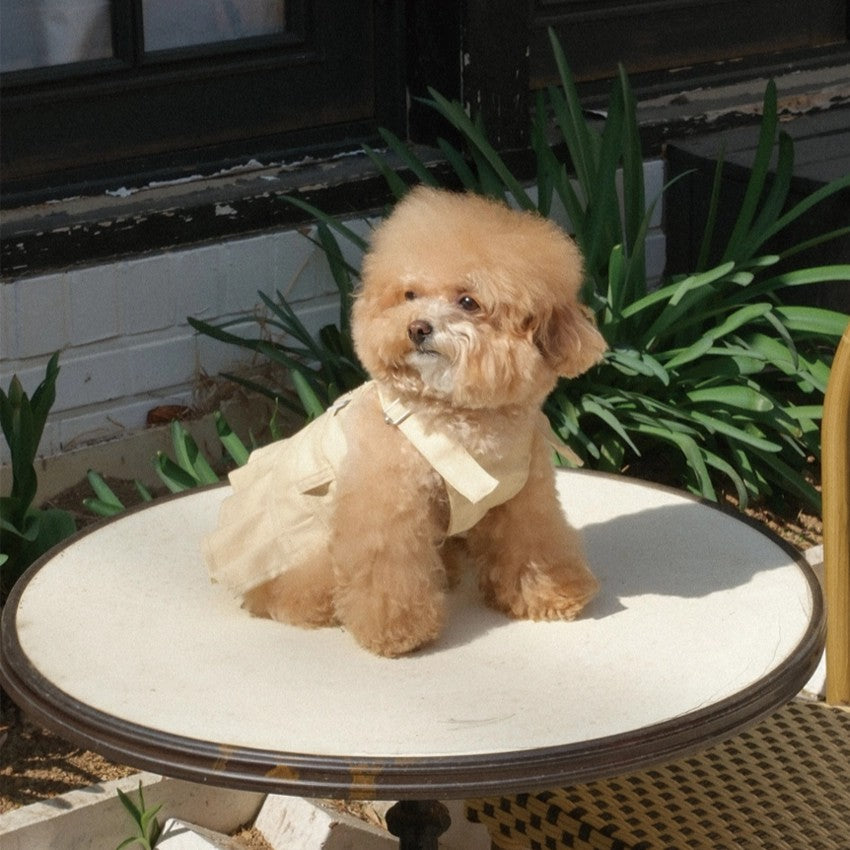 【予約】Pocket Suspender Dress