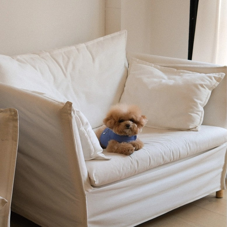 【予約】Pocket Harness