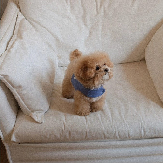 【予約】Pocket Harness