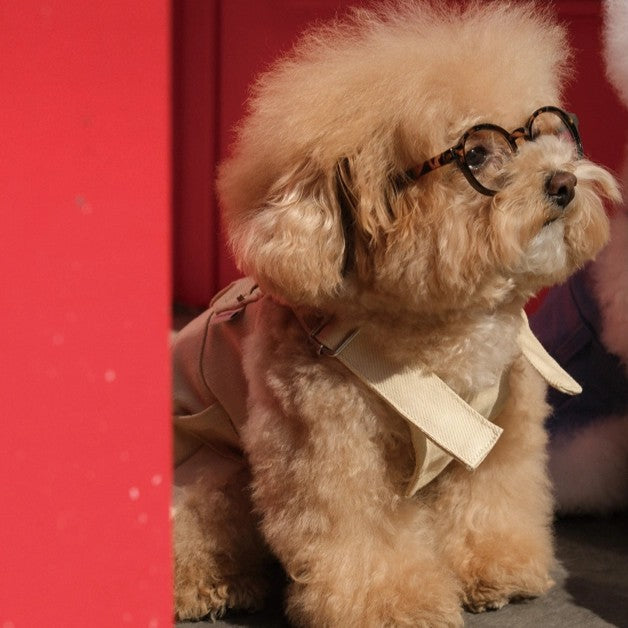 【予約】Pocket Suspender Dress