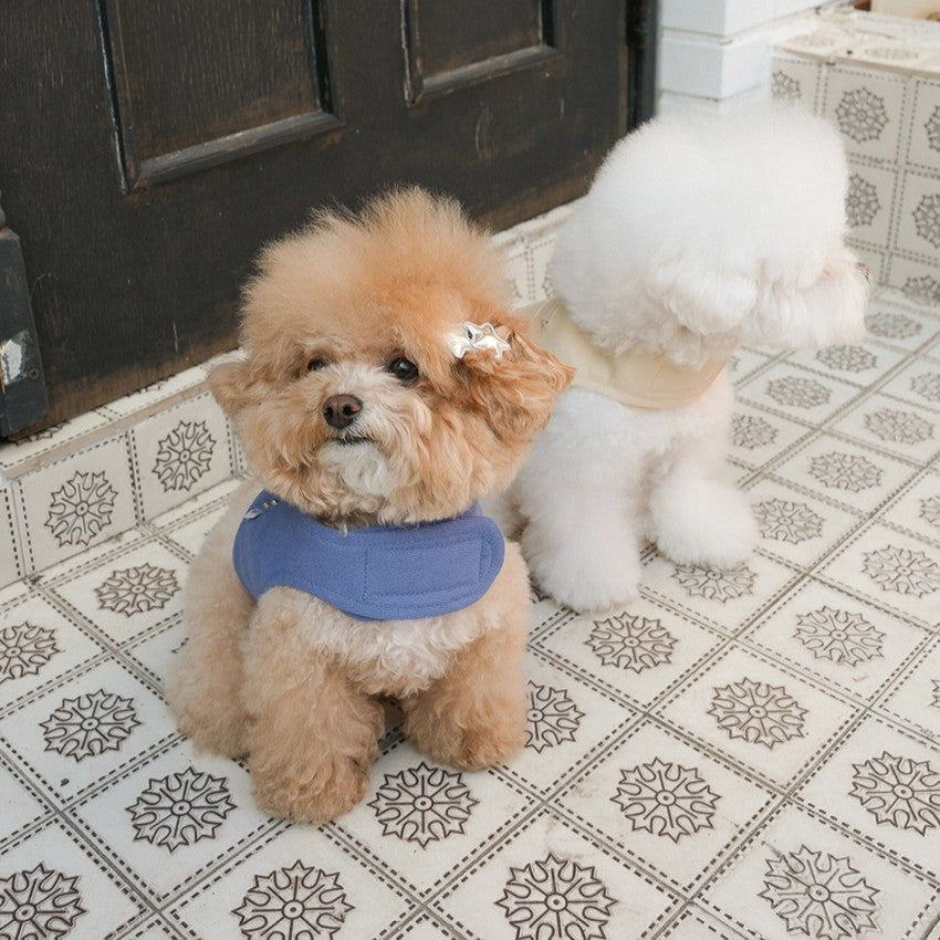 【予約】Pocket Harness