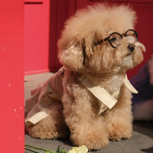 【予約】Pocket Suspender Dress