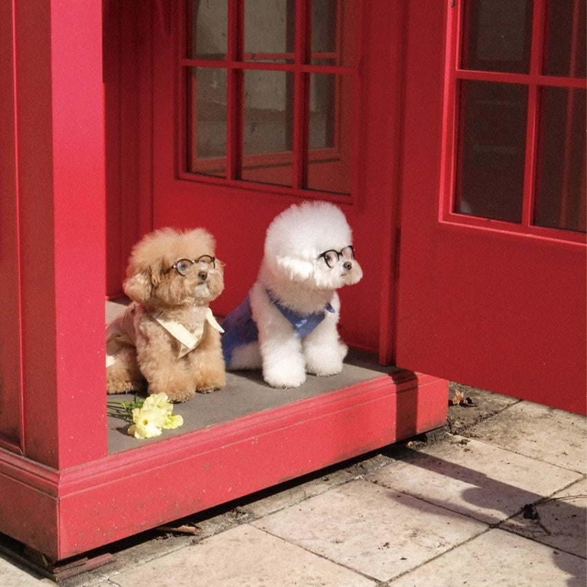 【予約】Pocket Suspender Dress