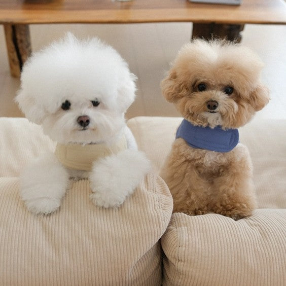 【予約】Pocket Harness