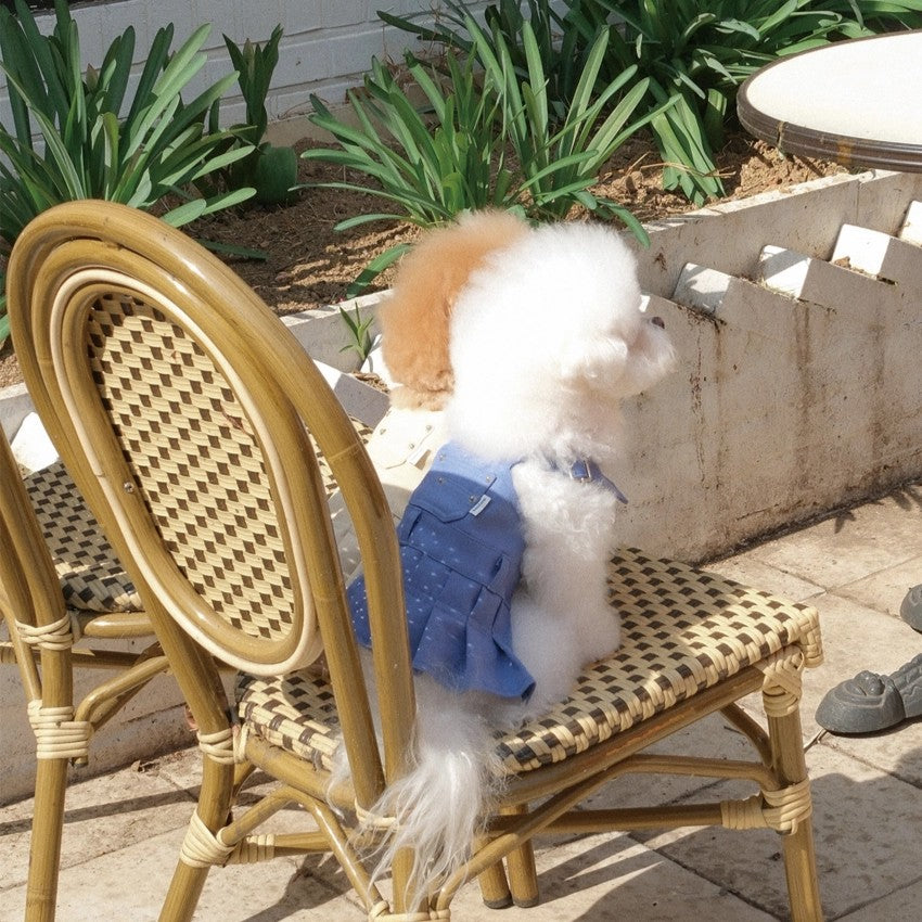 【予約】Pocket Suspender Dress