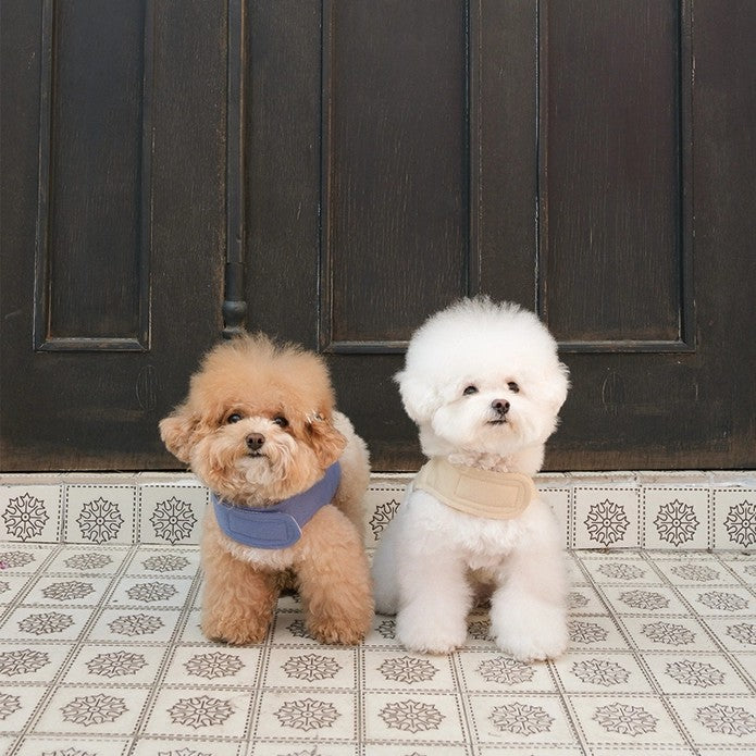 【予約】Pocket Harness