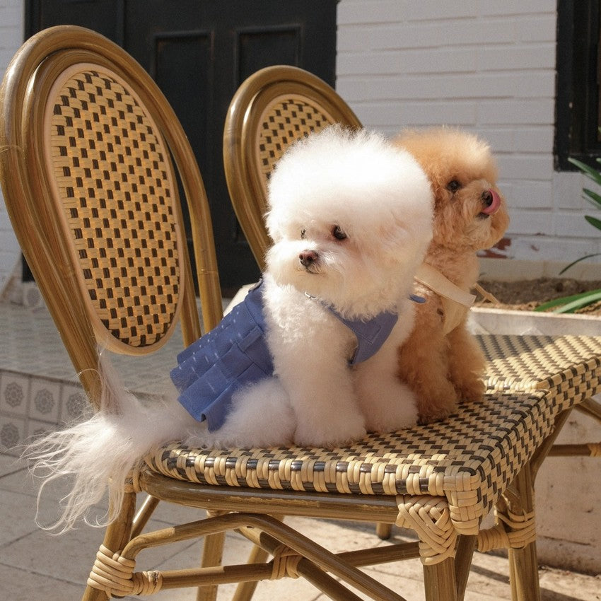 【予約】Pocket Suspender Dress