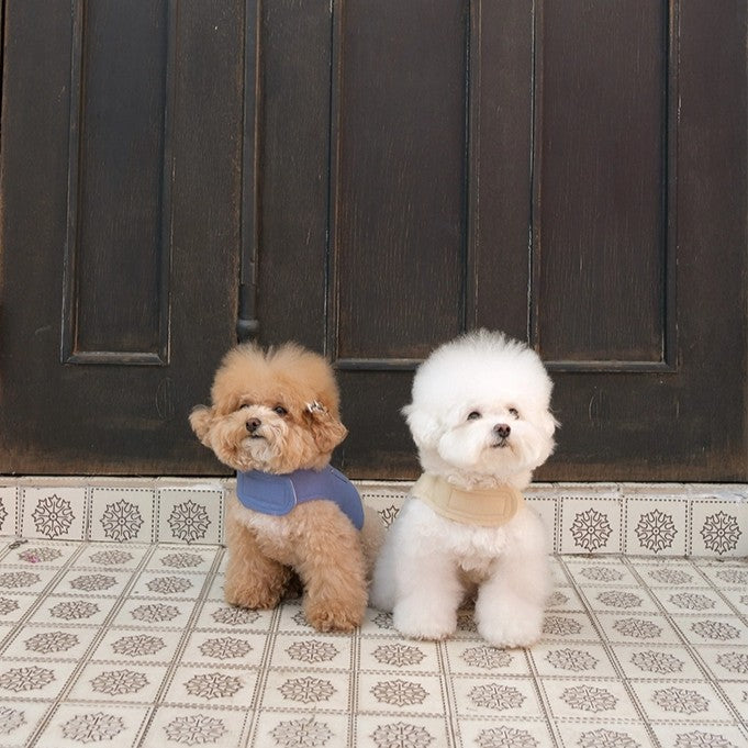 【予約】Pocket Harness