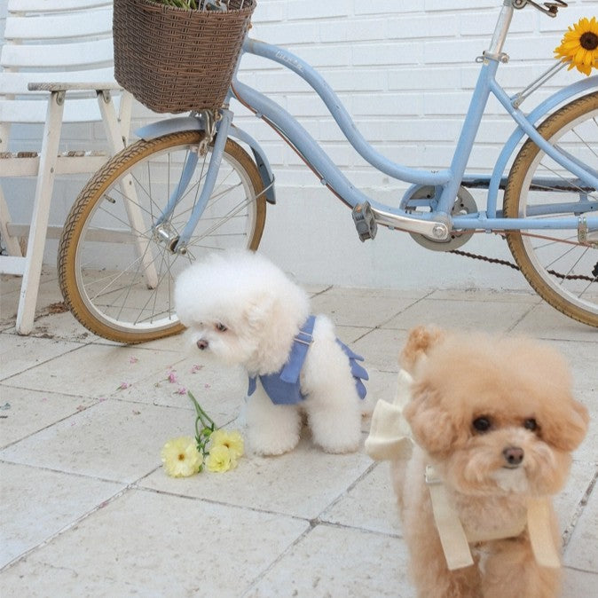 【予約】Pocket Suspender Dress