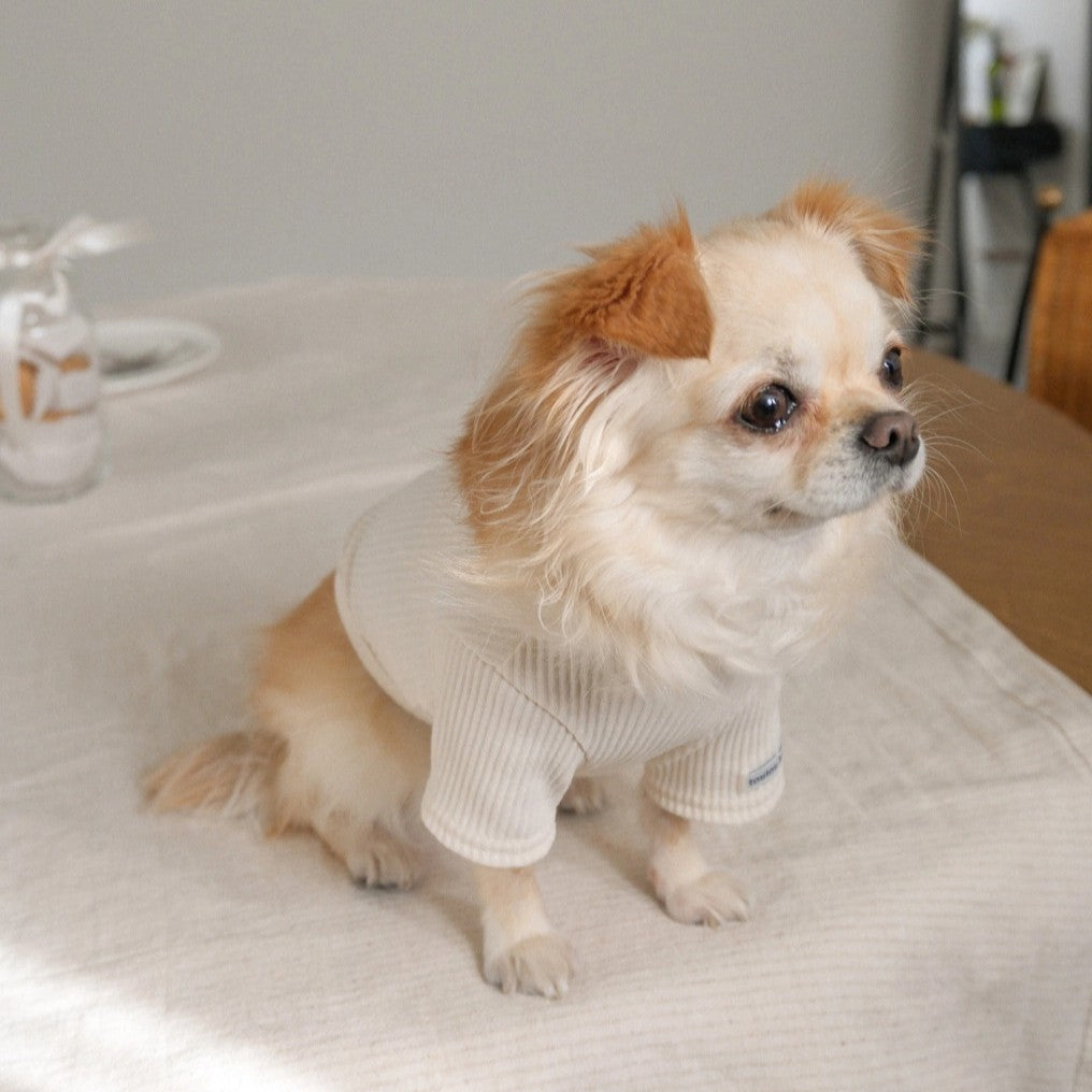 【予約】Ribbed Color Top