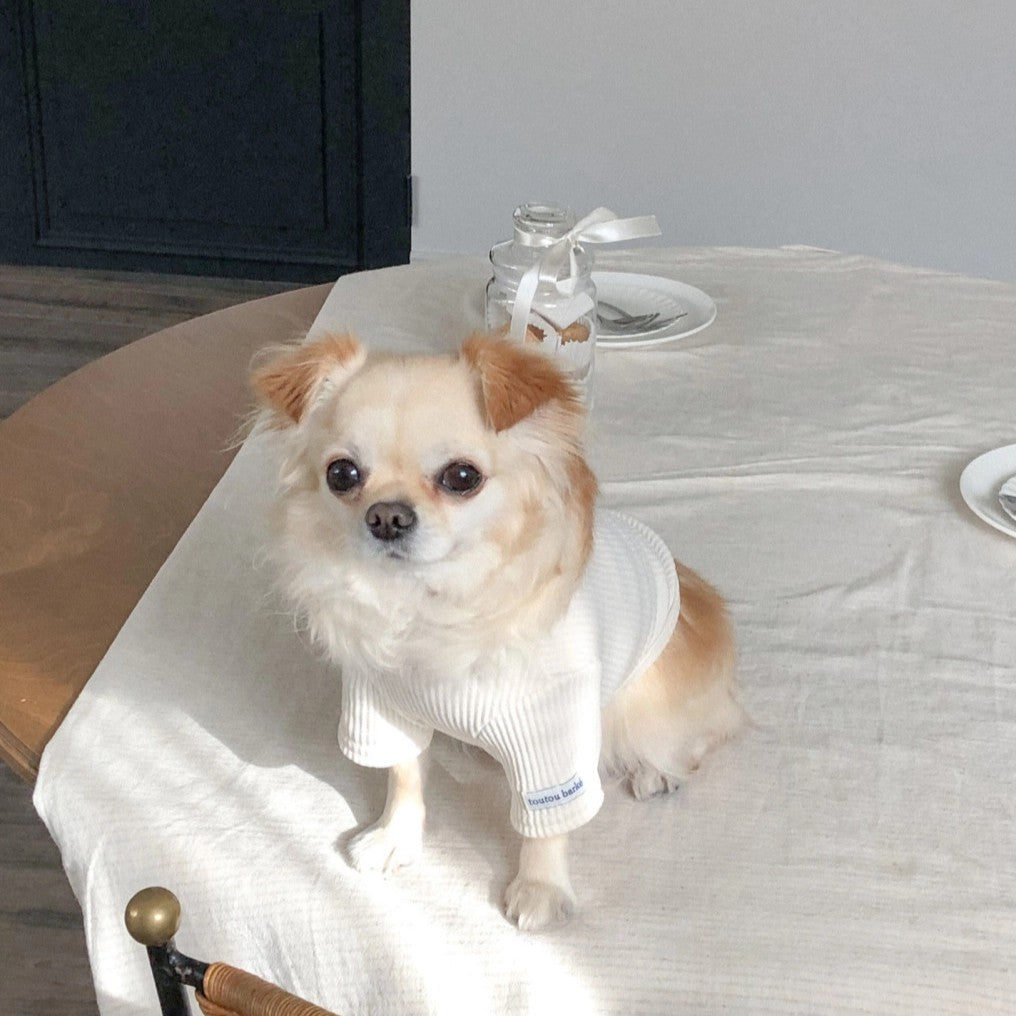 【予約】Ribbed Color Top