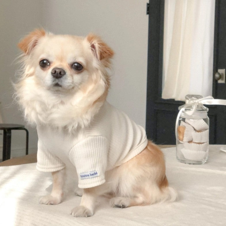 【予約】Ribbed Color Top