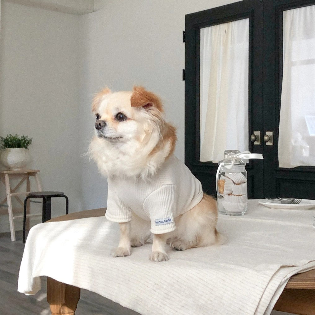 【予約】Ribbed Color Top