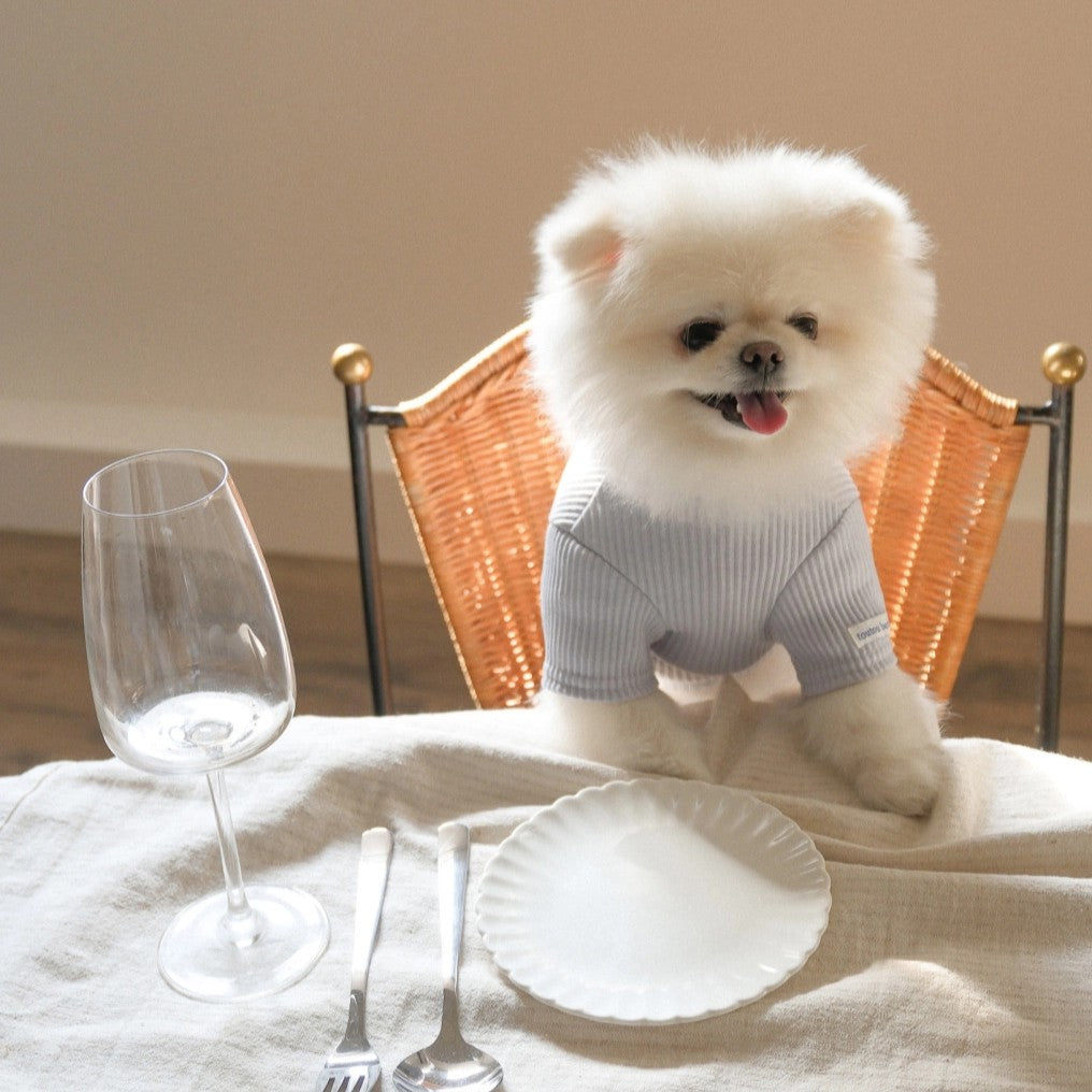 【予約】Ribbed Color Top