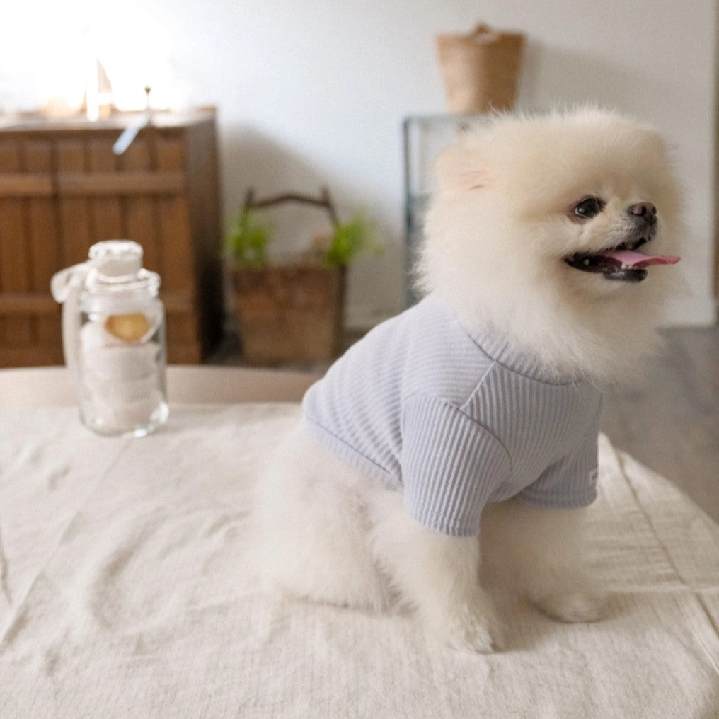 【予約】Ribbed Color Top