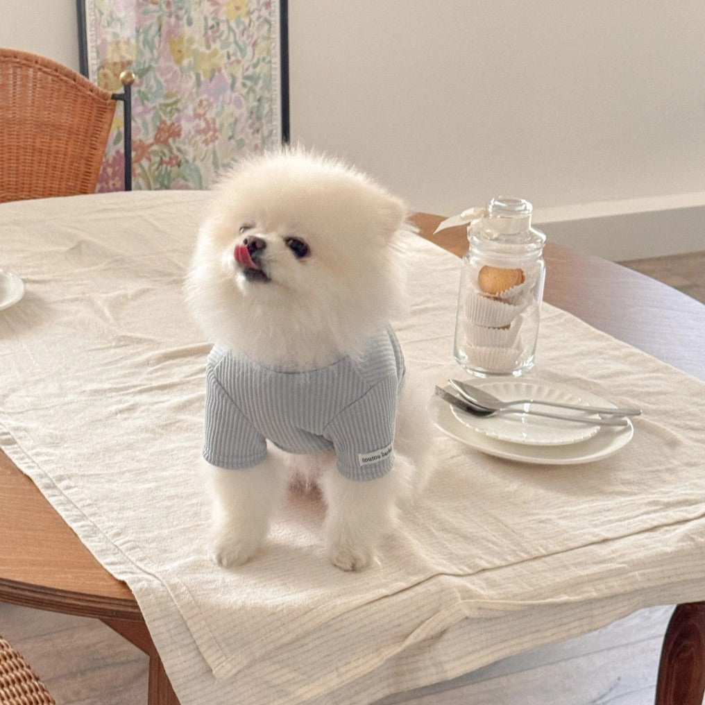 【予約】Ribbed Color Top