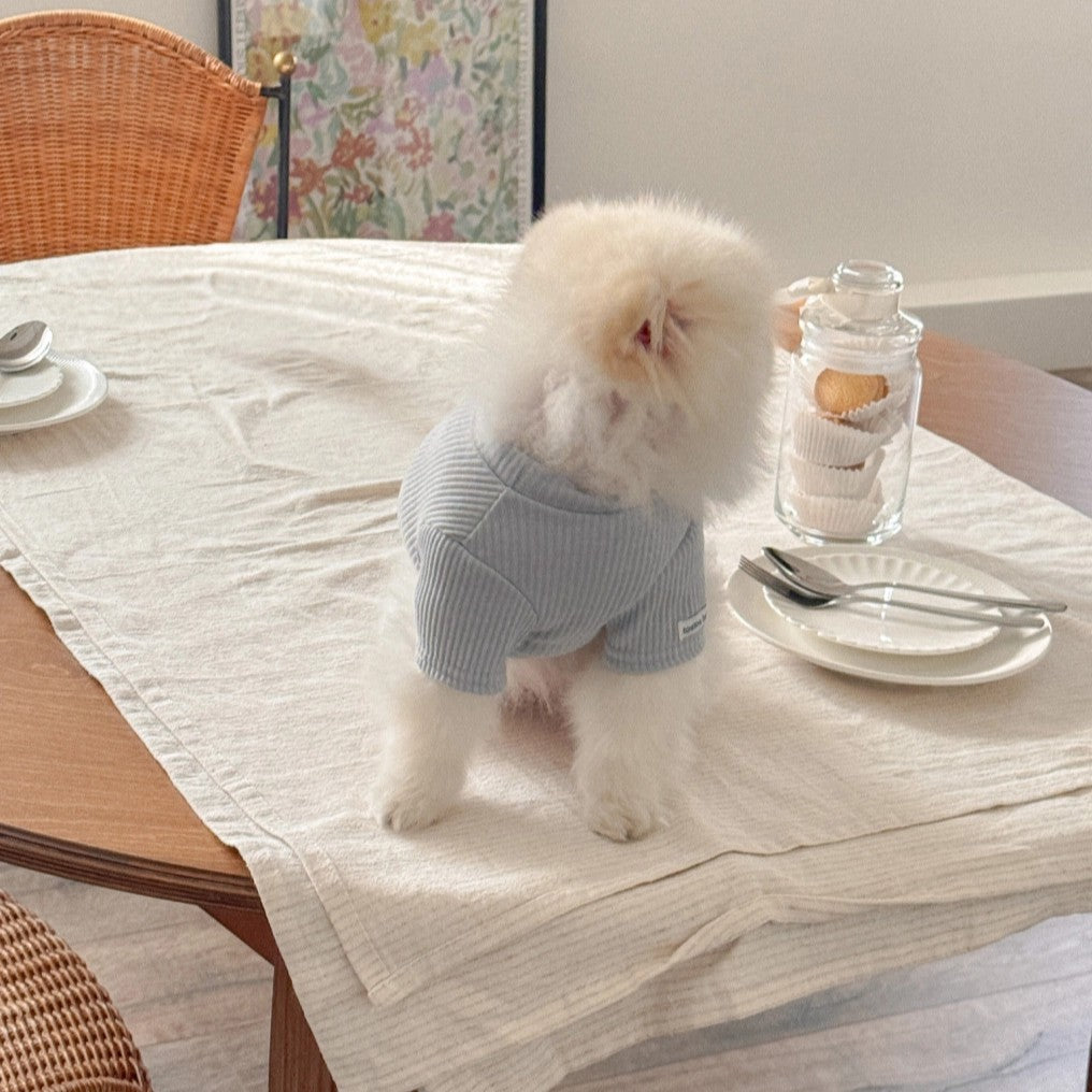 【予約】Ribbed Color Top