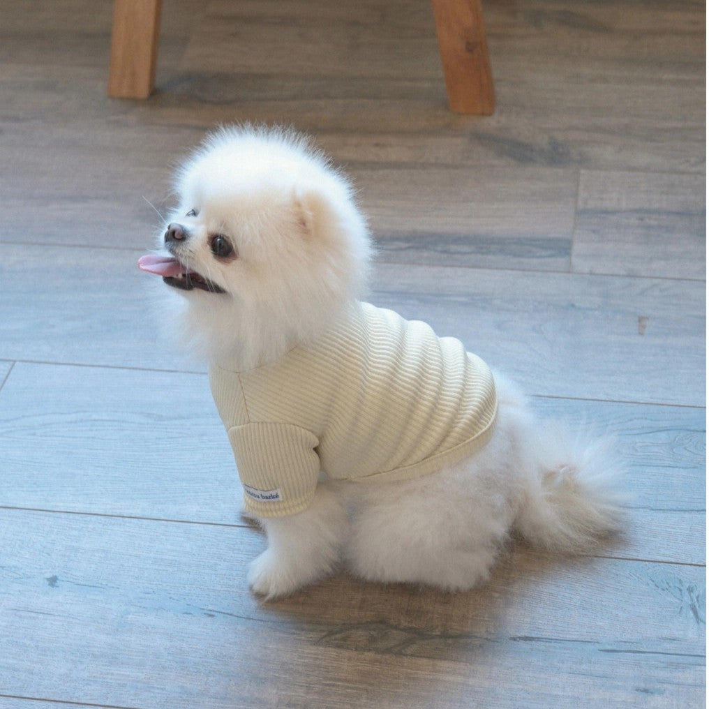 【予約】Ribbed Color Top