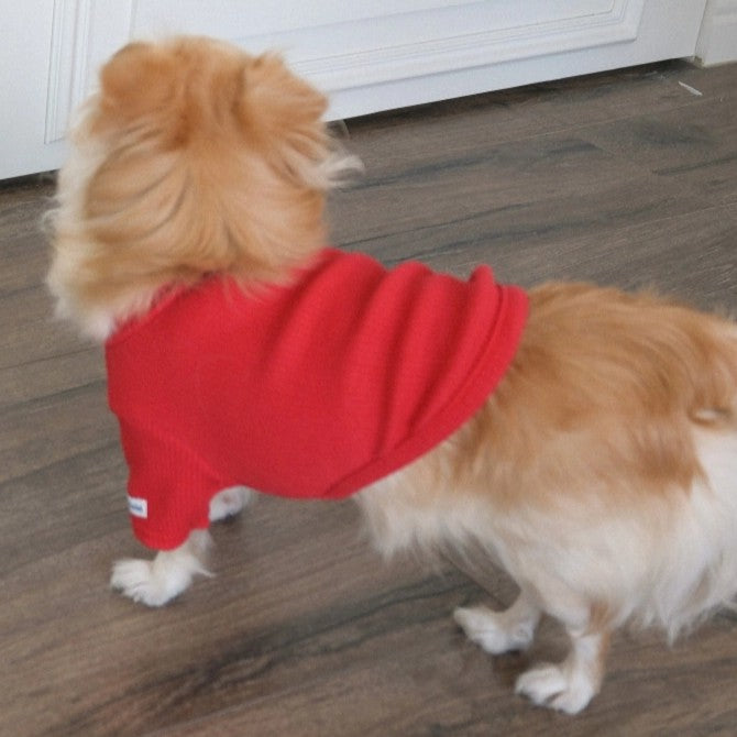 【予約】Ribbed Color Top