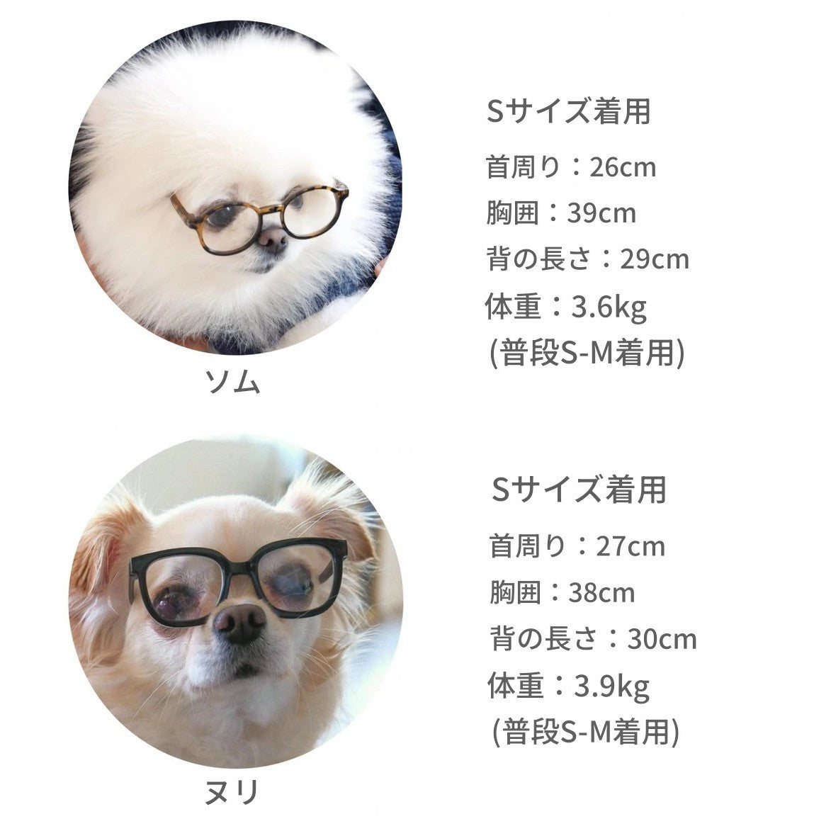 【予約】Ribbed Color Top