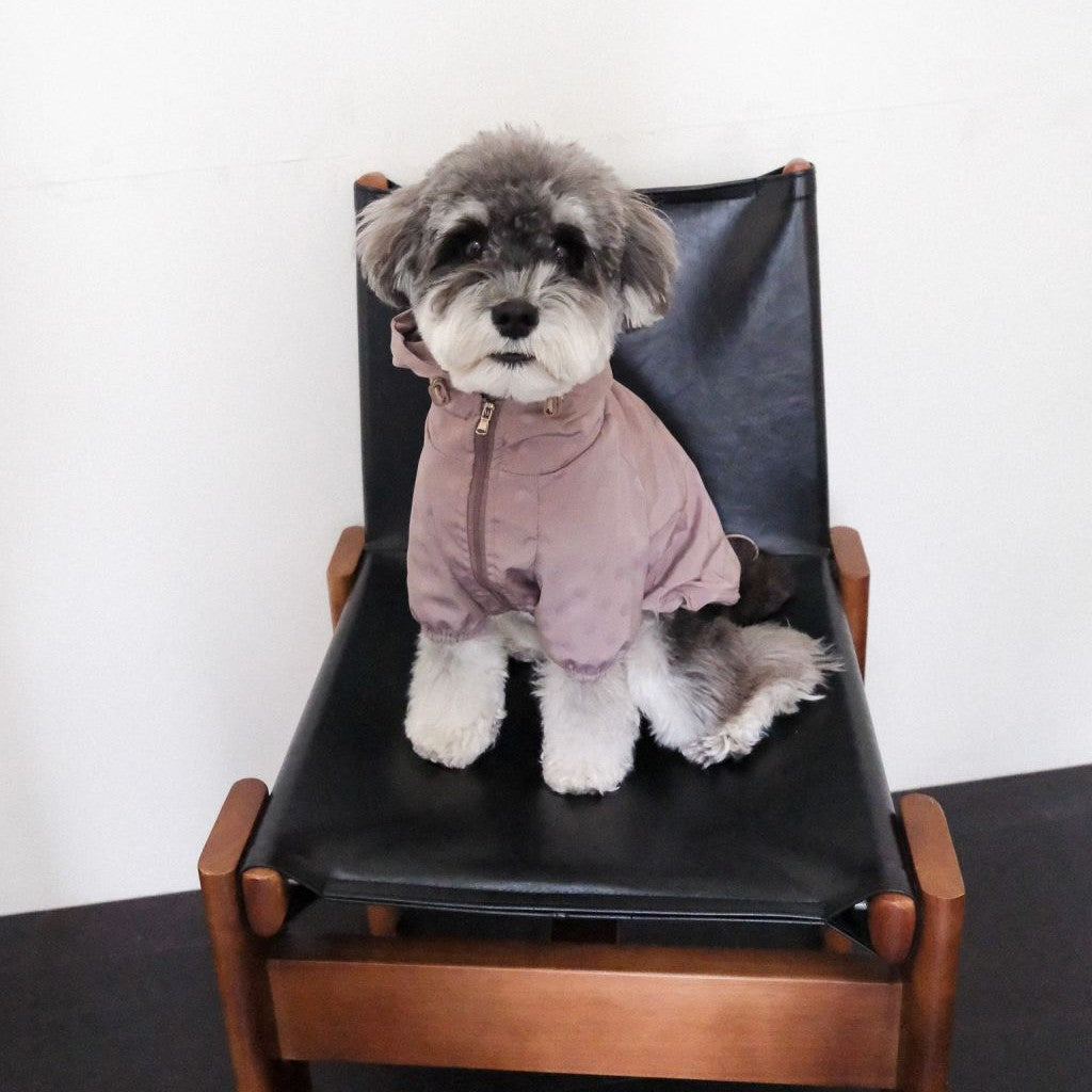 【予約】シリアル ウィンドブレーカー