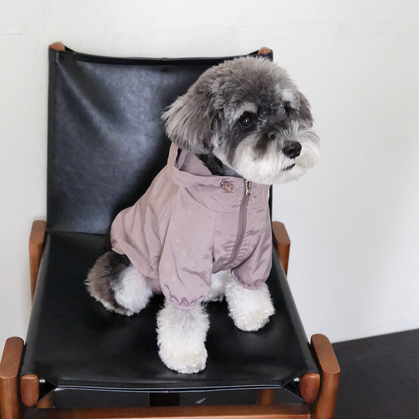 【予約】シリアル ウィンドブレーカー