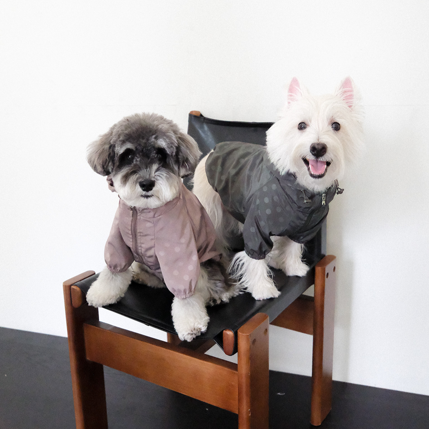 【予約】シリアル ウィンドブレーカー