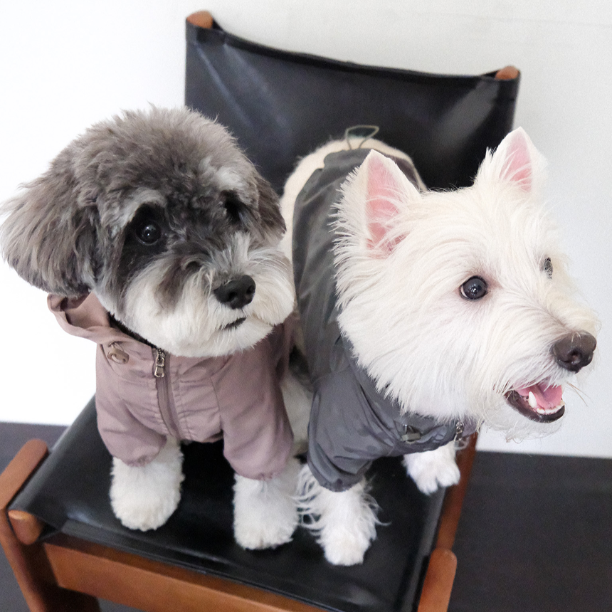 【予約】シリアル ウィンドブレーカー