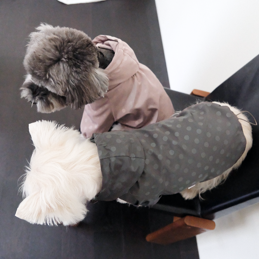 【予約】シリアル ウィンドブレーカー